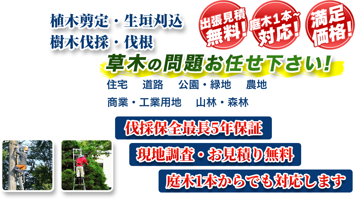 香取市エリア即対応!! 出張無料! 庭木1本~対応! 満足価格! 植木剪定・生垣刈込 樹木伐採・伐根 草木の問題お任せ下さい! 住宅 道路 公園・緑地 農地 商業・工業用他 山林・森林 伐採保全最長5年保証 現地調査・お見積り無料 庭木1本からでも対応します